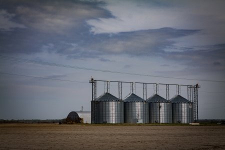 Mississippi Delta